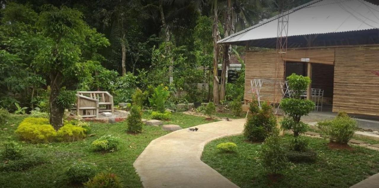 Avicenna 1 Guesthouse