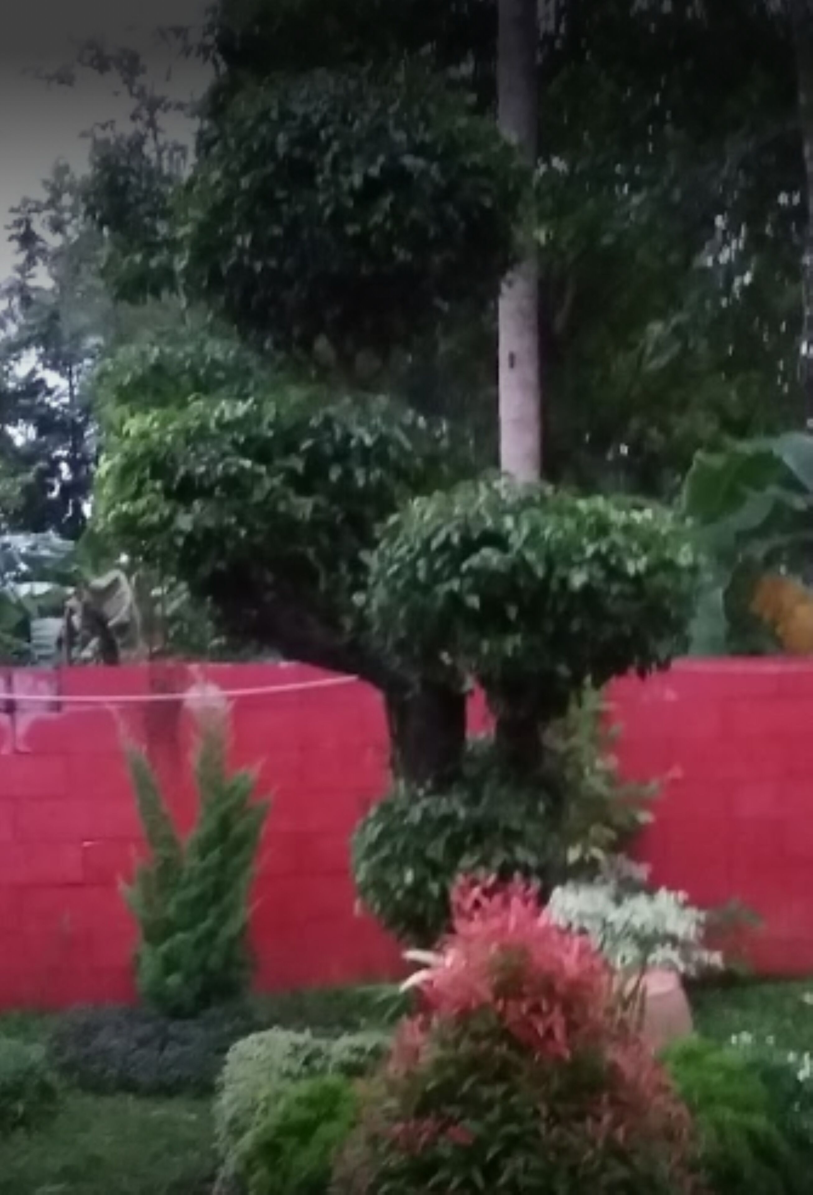 Avicenna 3 Guesthouse