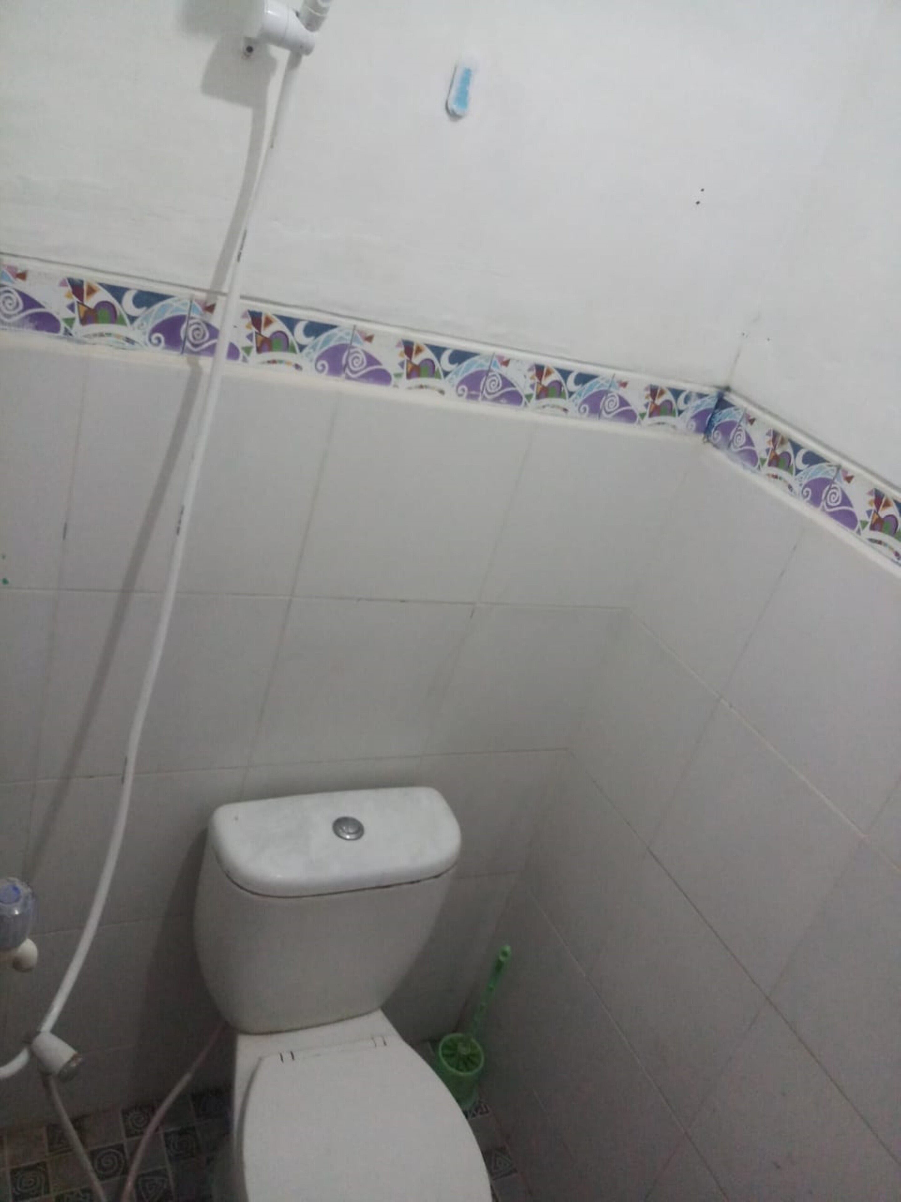 Avicenna 3 Guesthouse