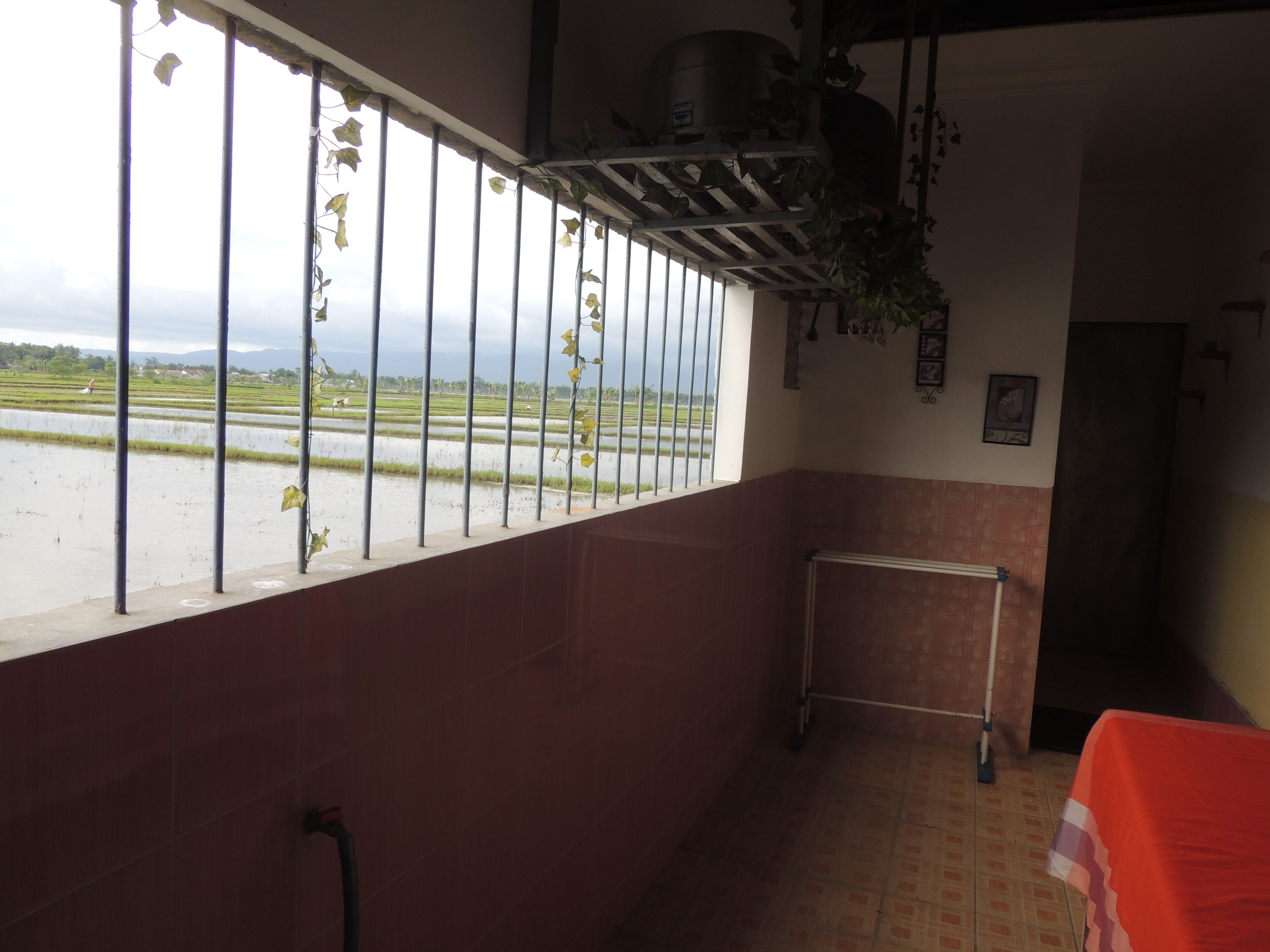 Avicenna 3 Guesthouse