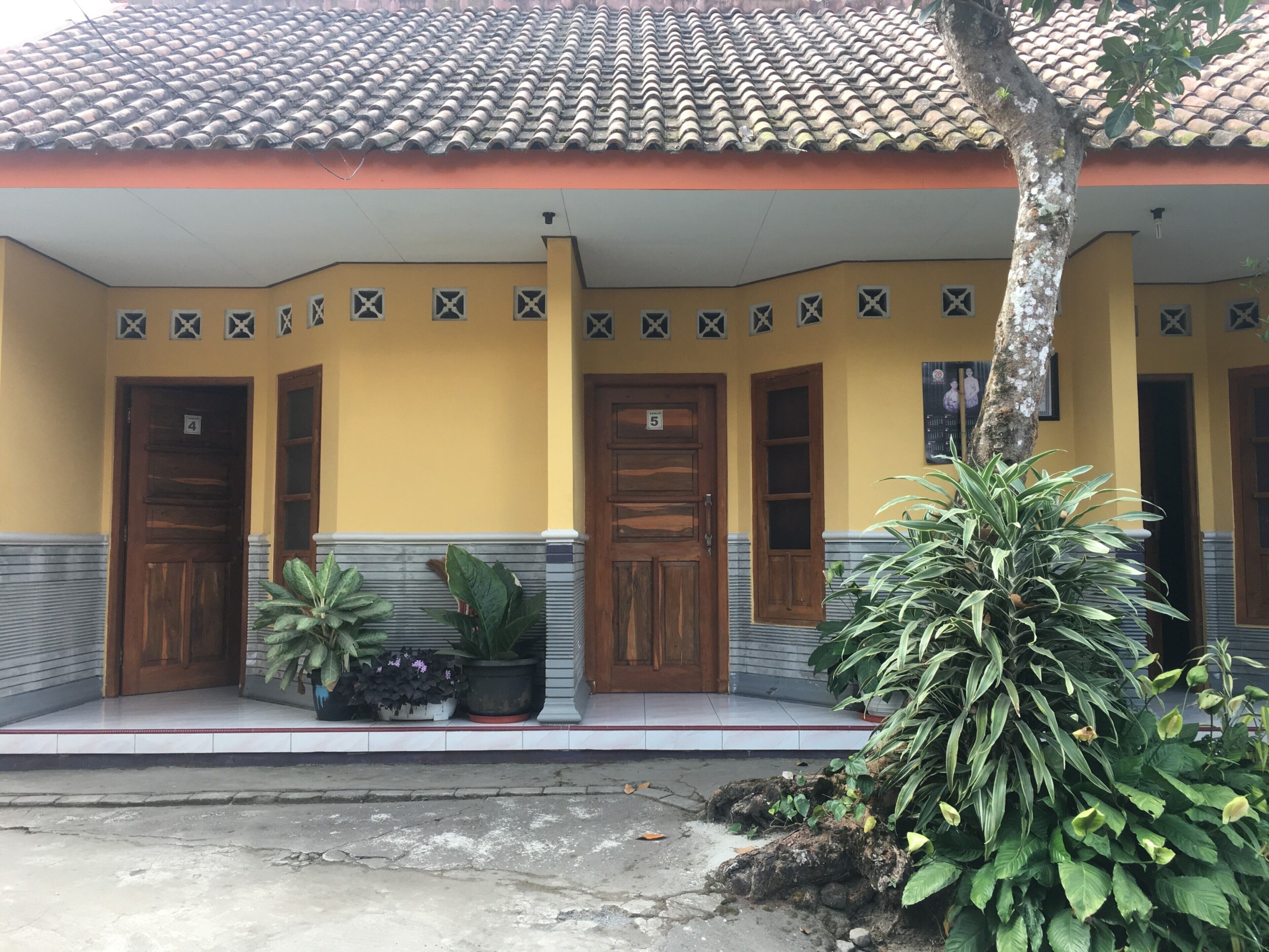 Penginapan Mentorogo