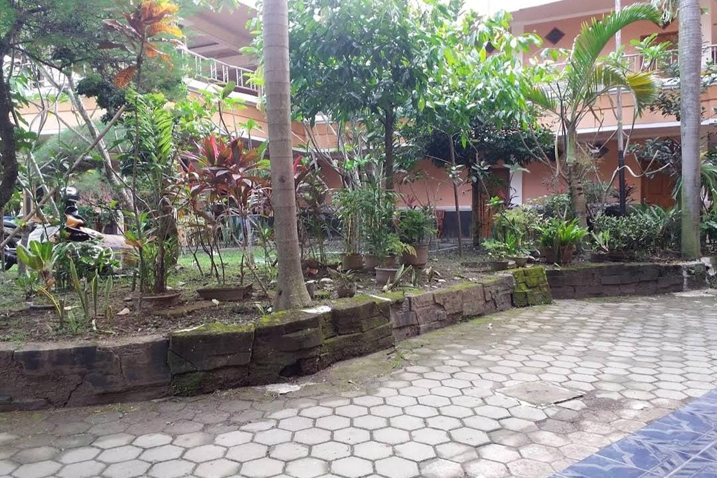 Hotel Bima