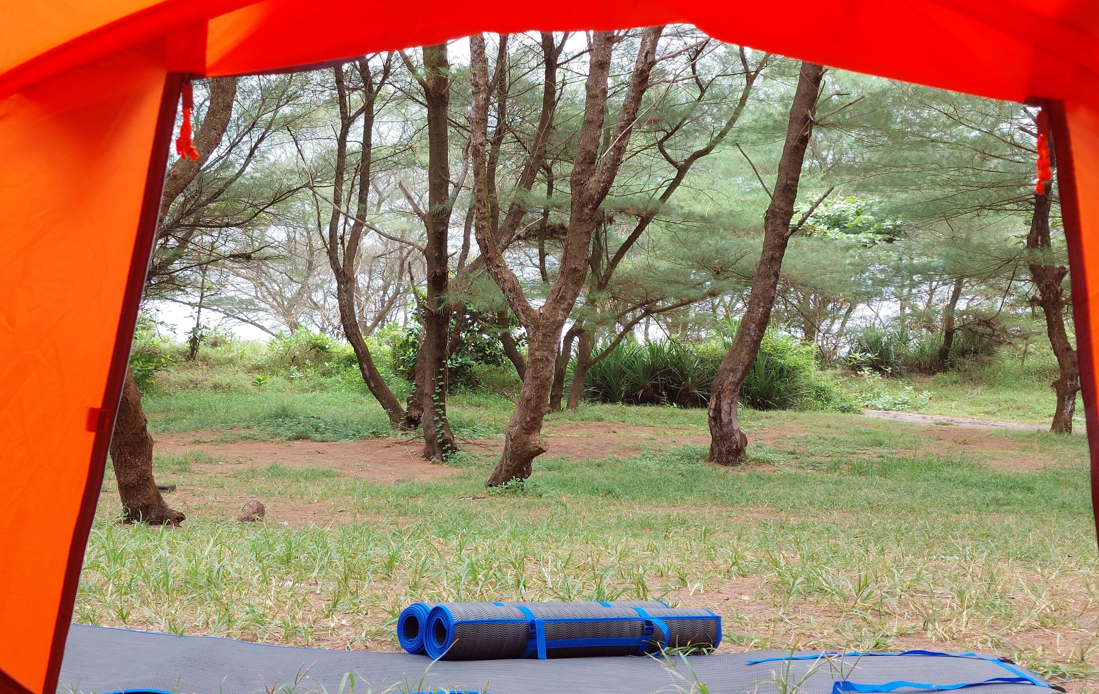 Goa Cemara Camping Ground