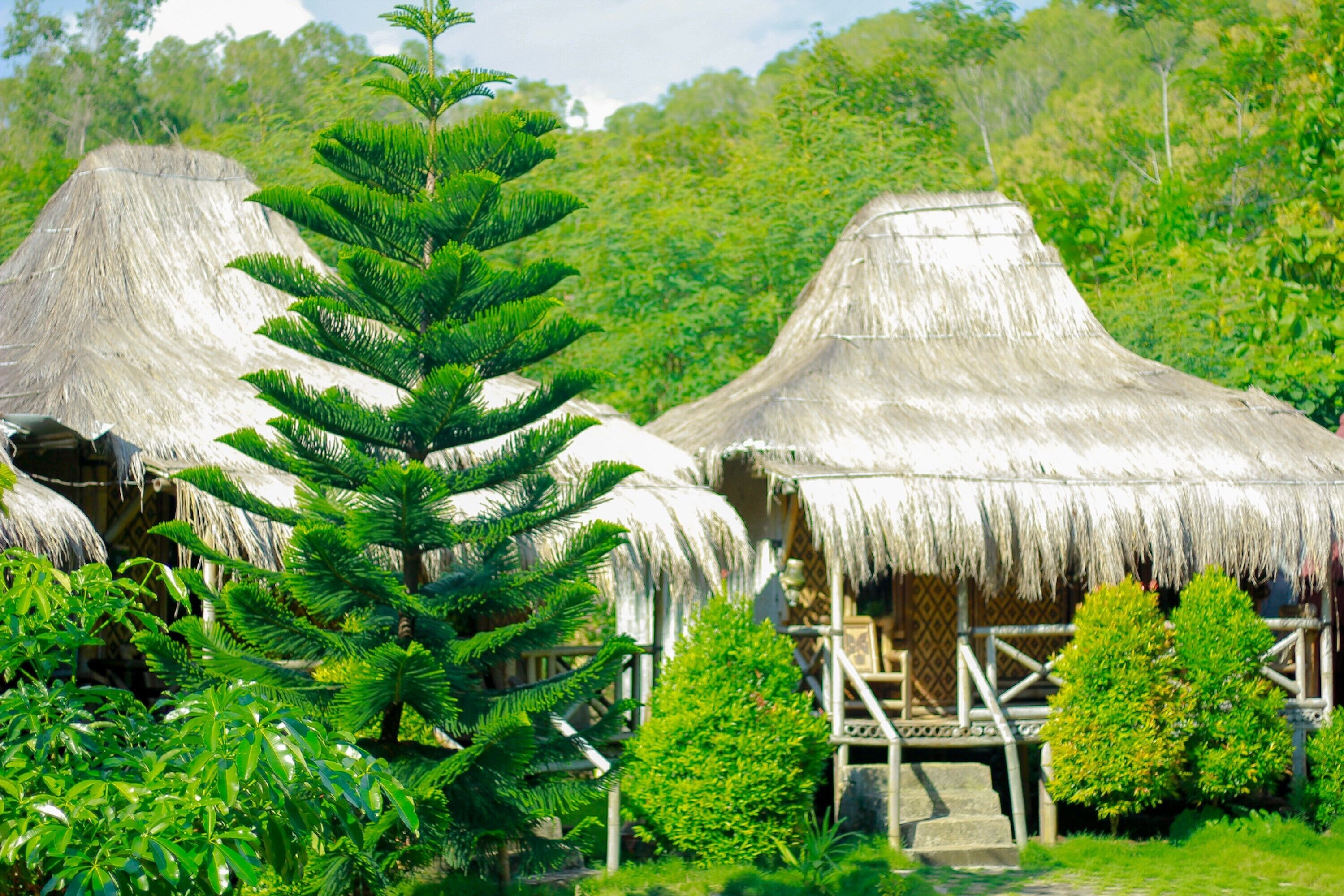 Penginapan Putra Darma