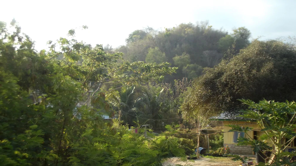 Hotel Aulia
