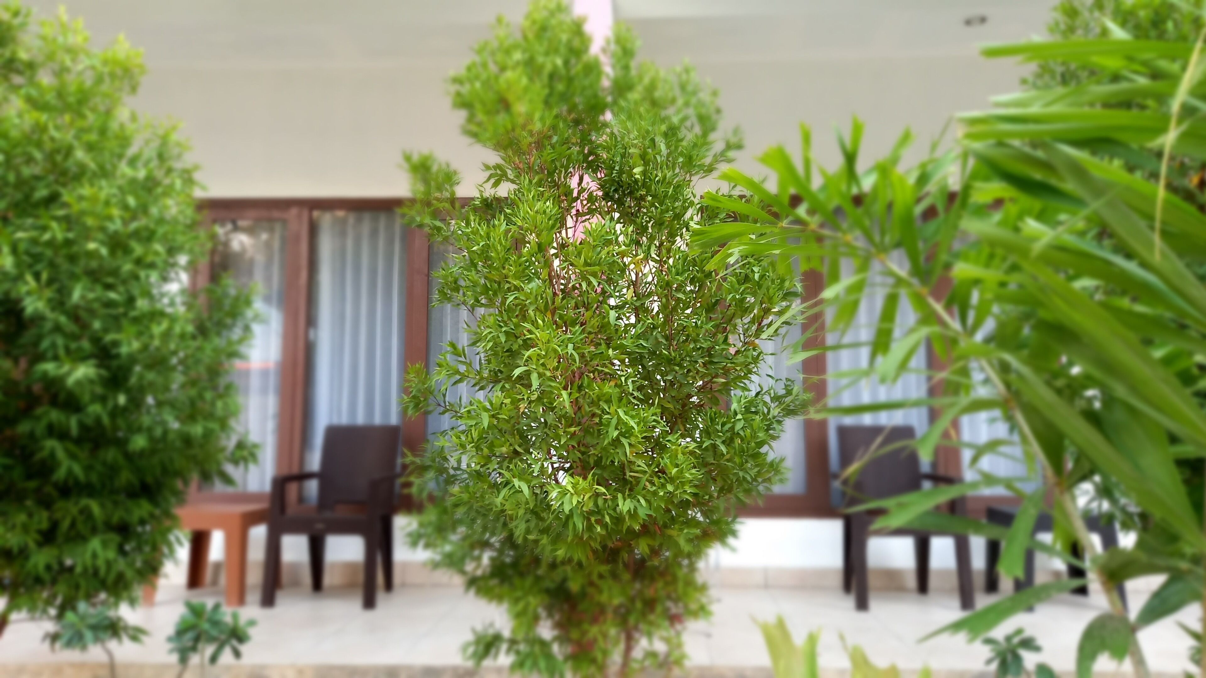 Sisilia Hotel