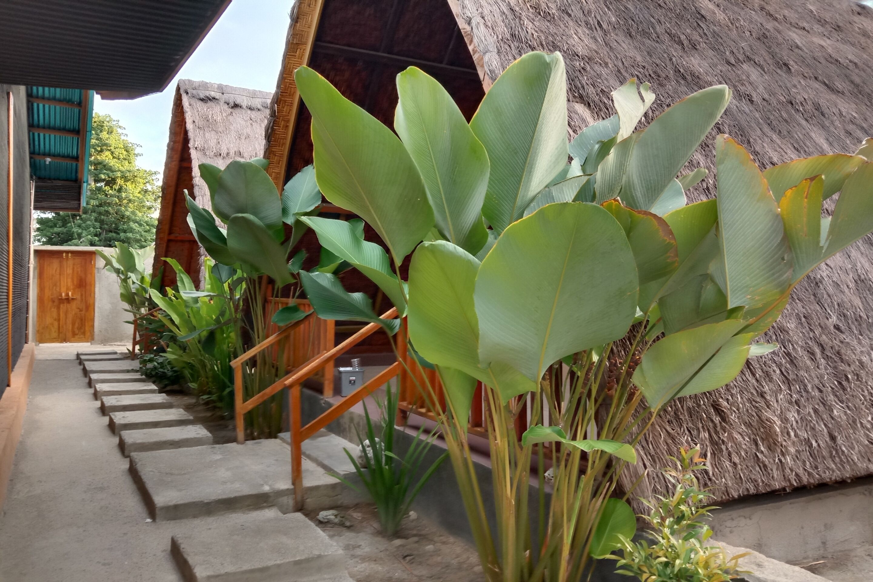 Villa Alam Flores Komodo Labuan Bajo Reddoors