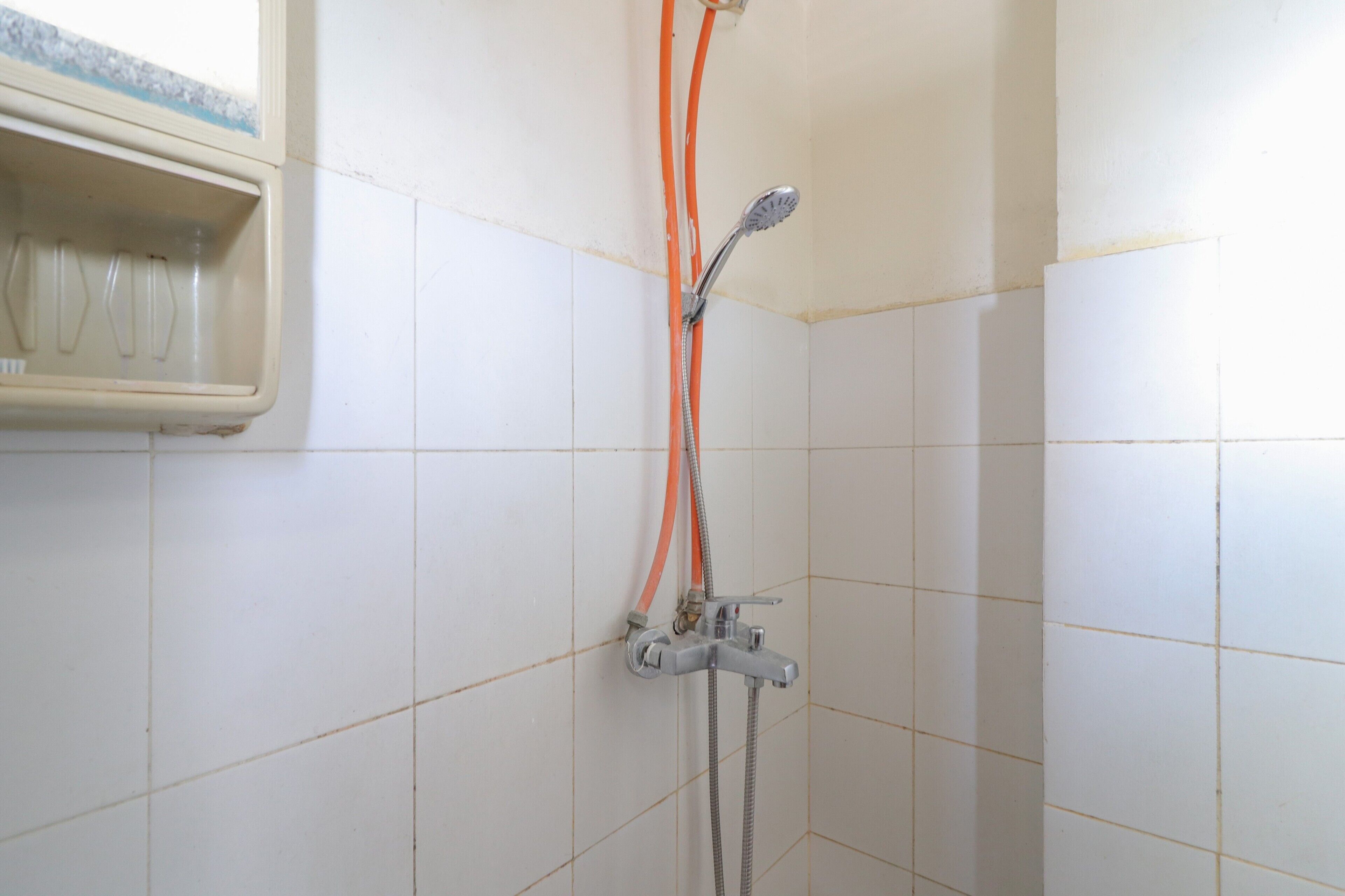 7 Point At Gateway Cicadas