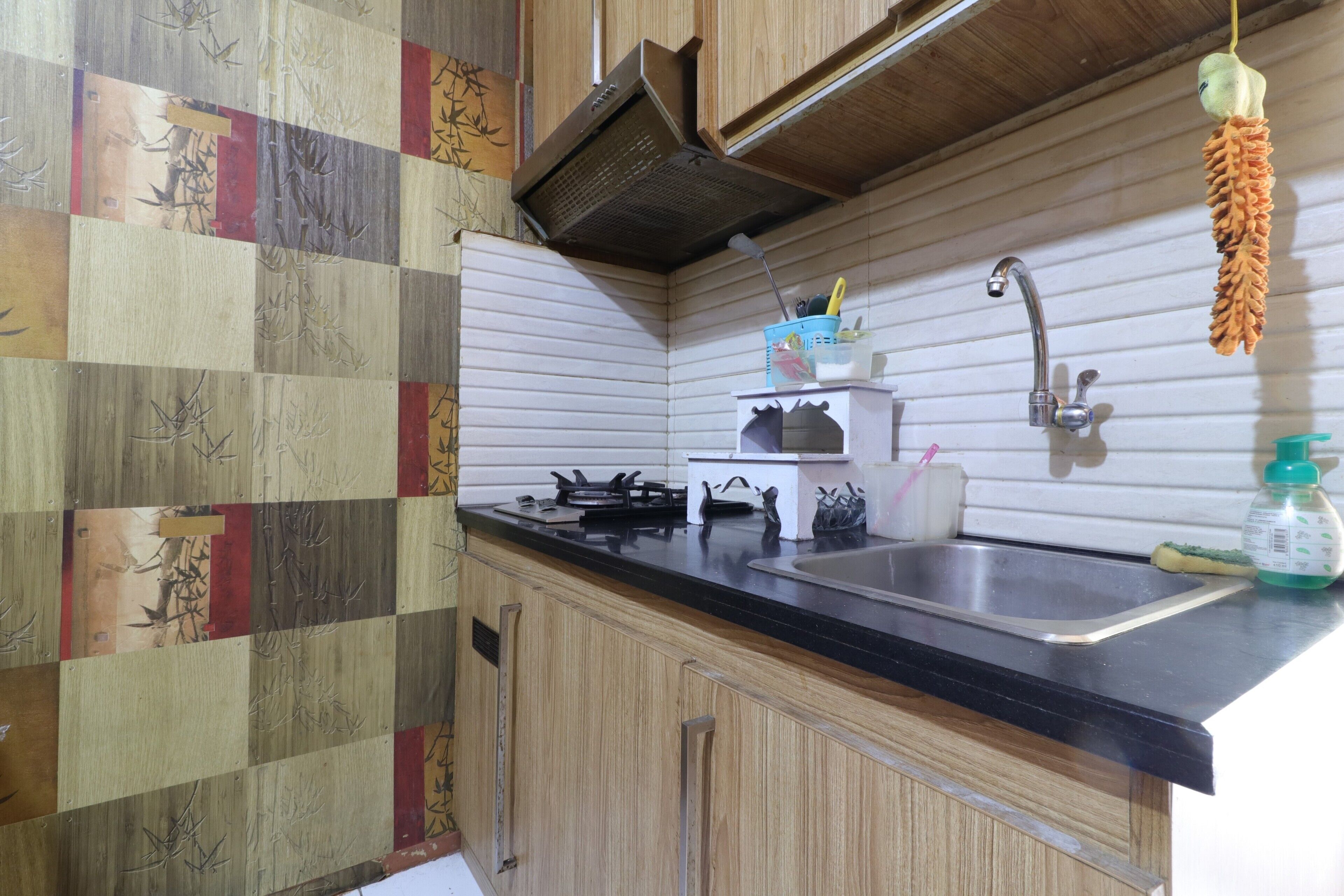 7 Point At Gateway Cicadas