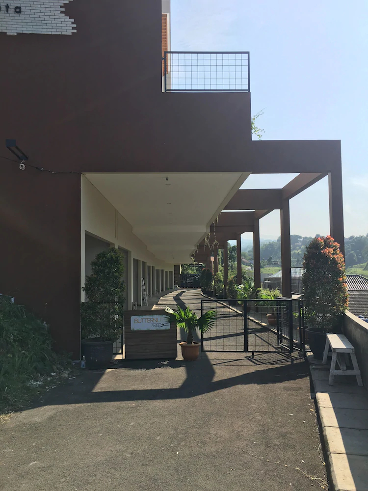 Butternut Tree Townhomes