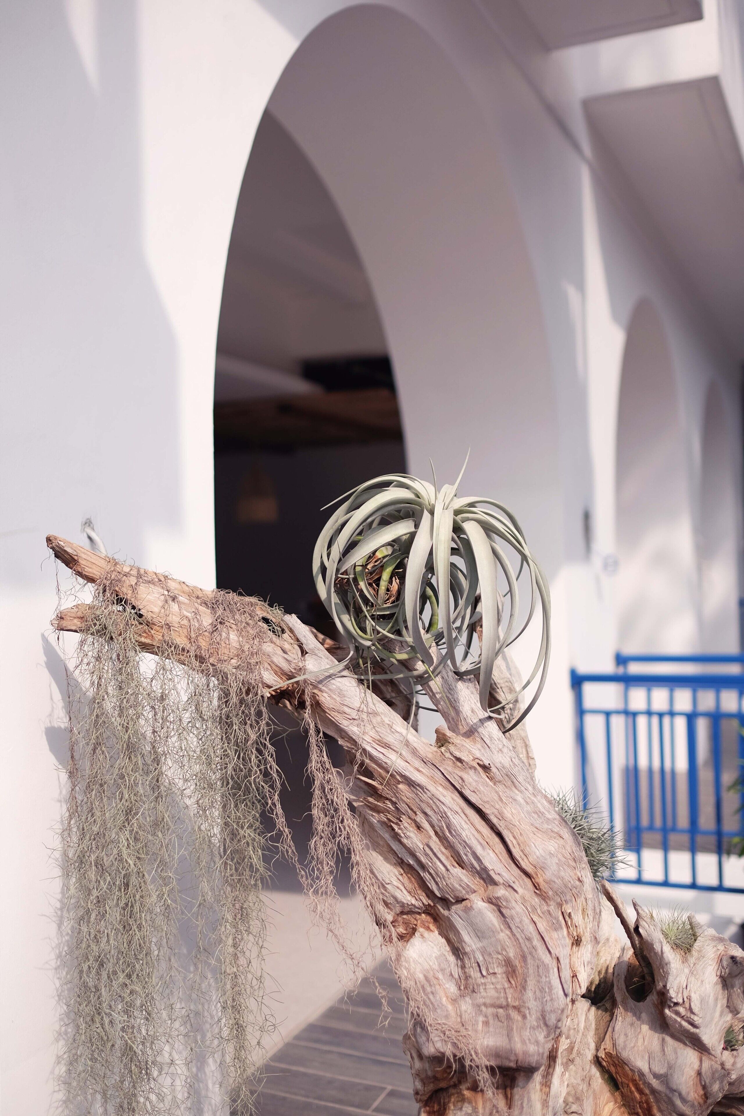 Little Mykonos