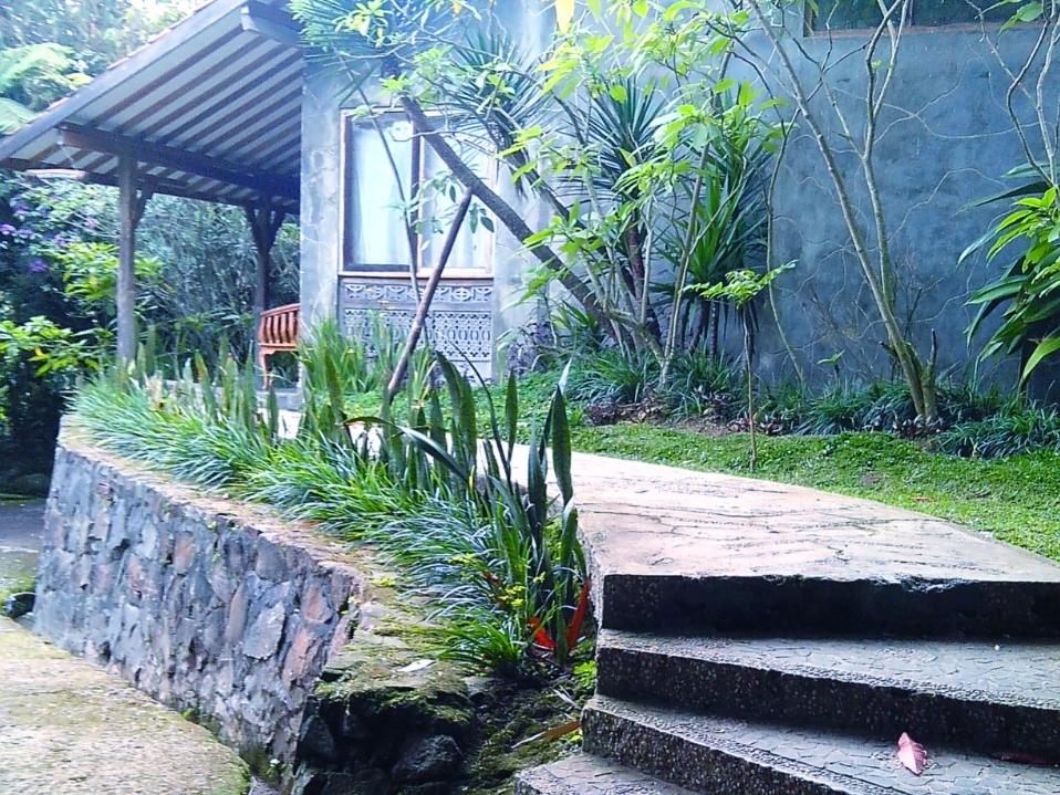 Sapulidi Cafe, Resort & Gallery