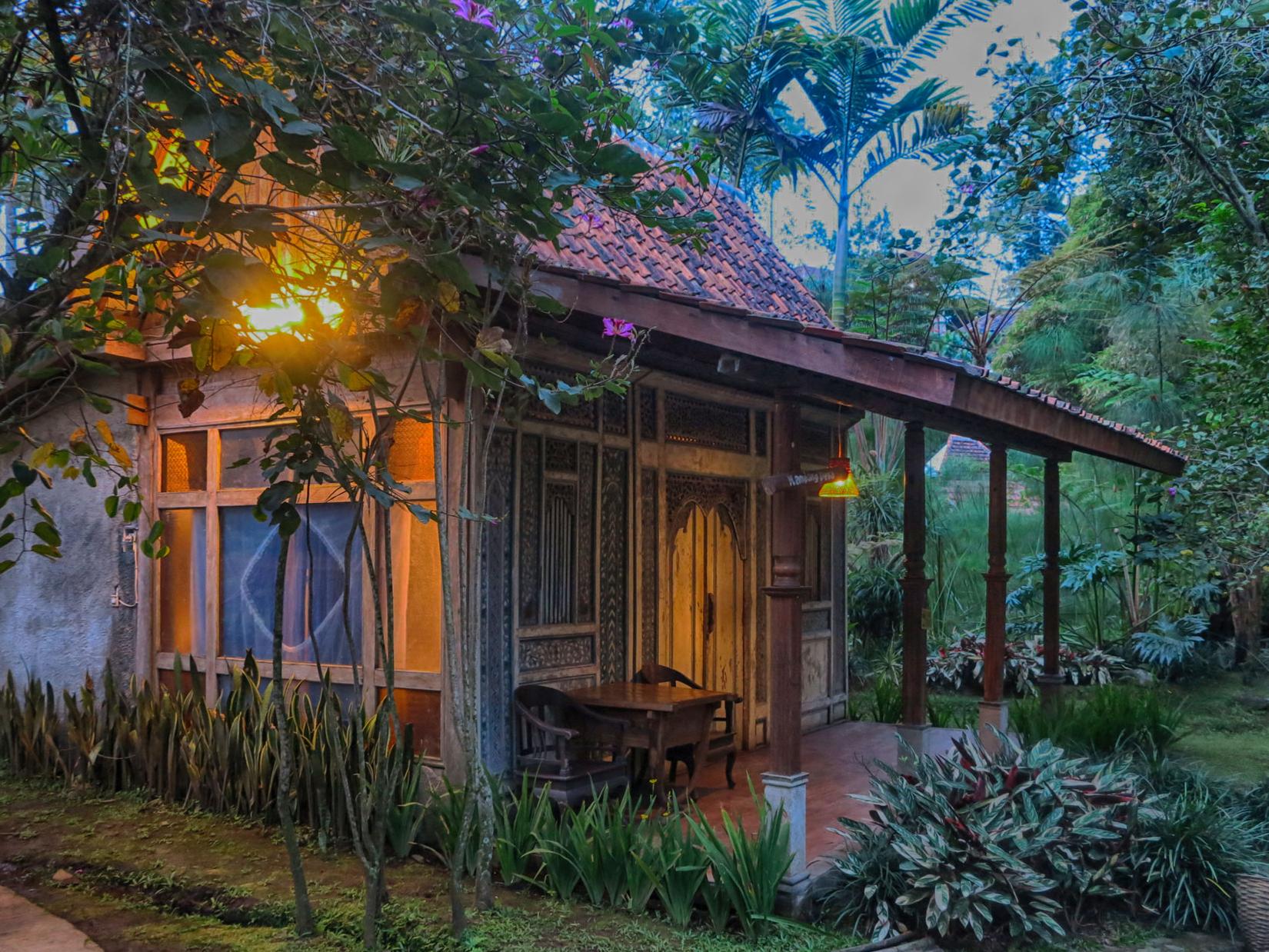 Sapulidi Cafe, Resort & Gallery