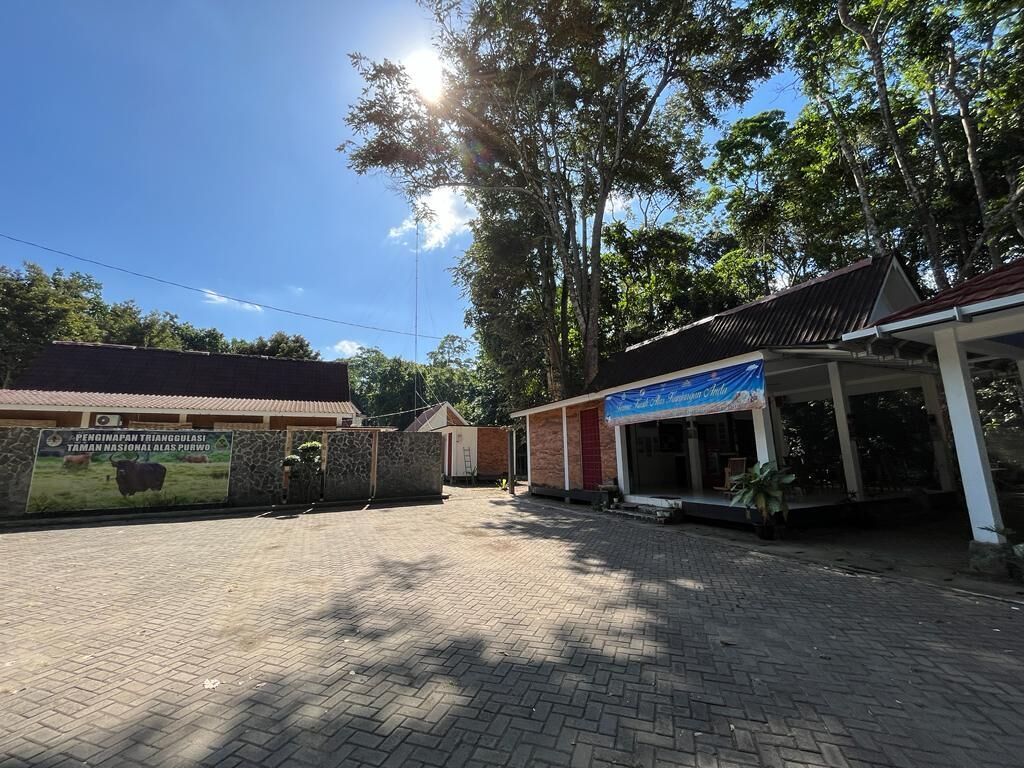 Capital O 92612 Penginapan D'alas Purwo & Beach