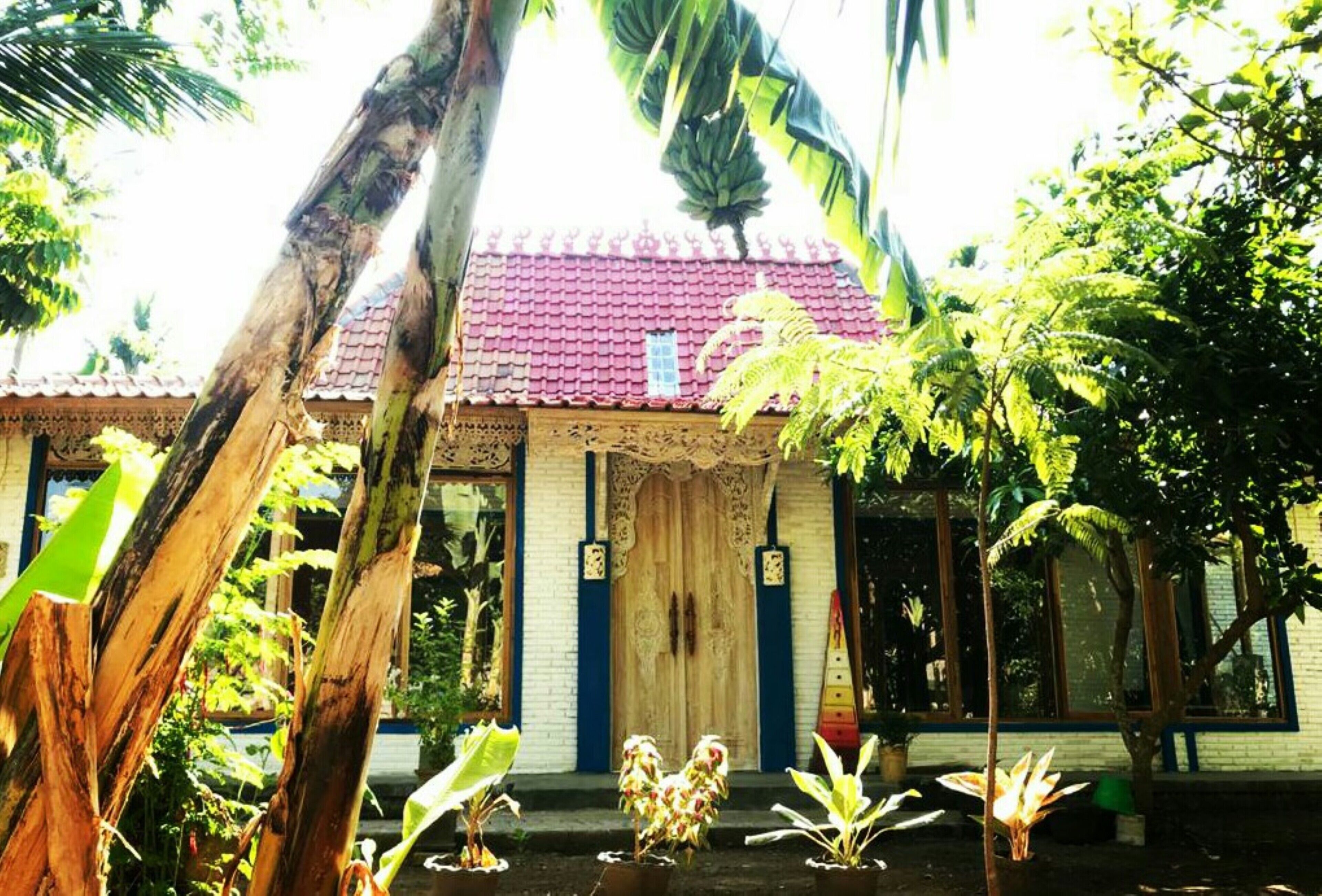 Didu's Homestay Bed & Breakfast