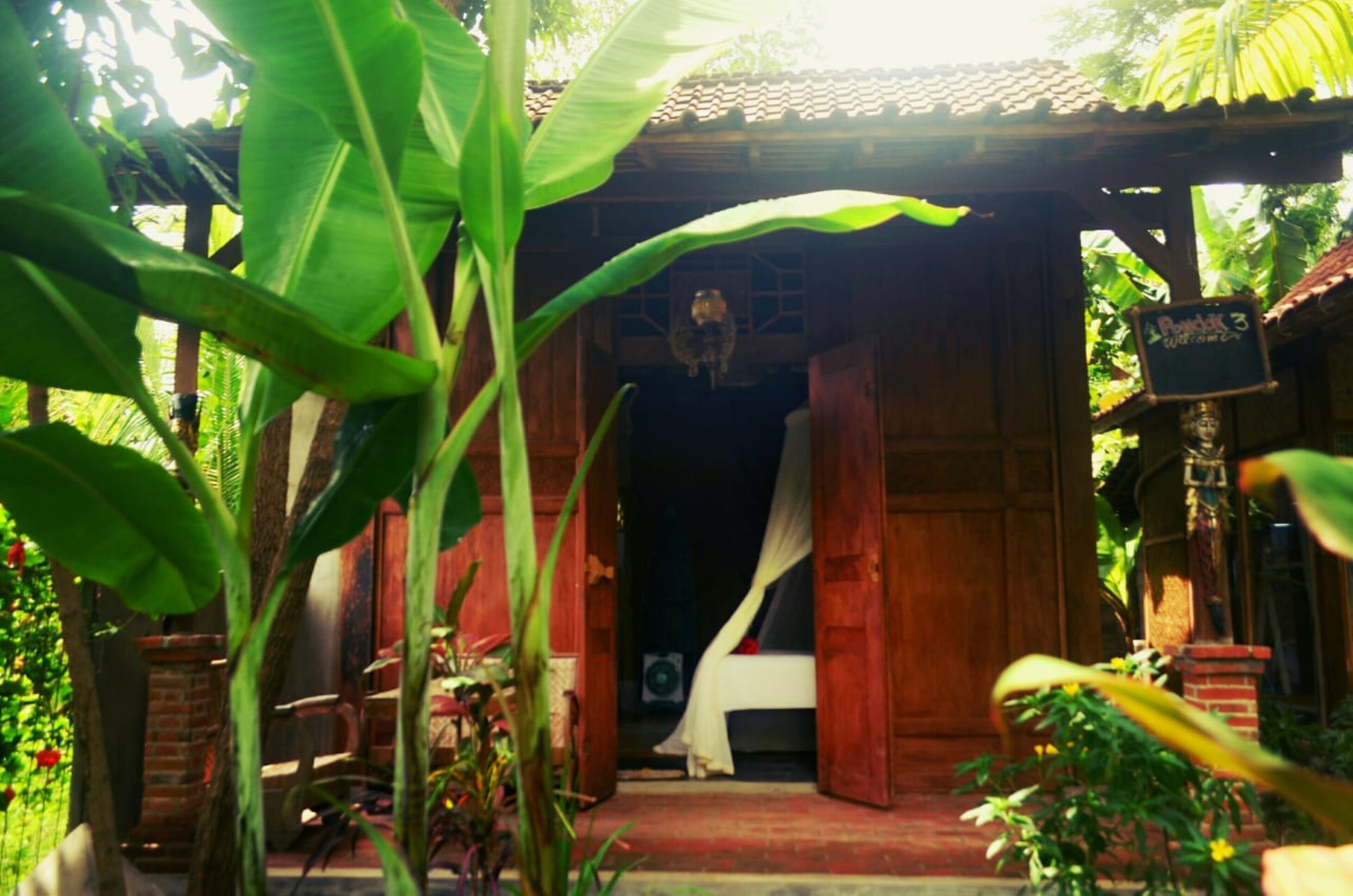 Didu's Homestay Bed & Breakfast