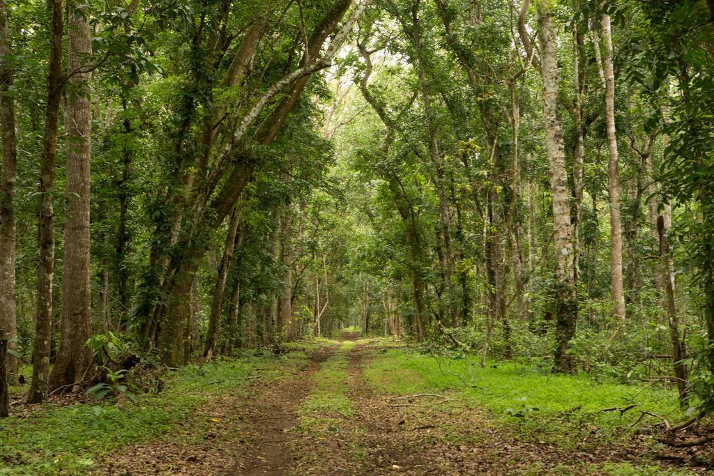 Ketapang Indah Hotel