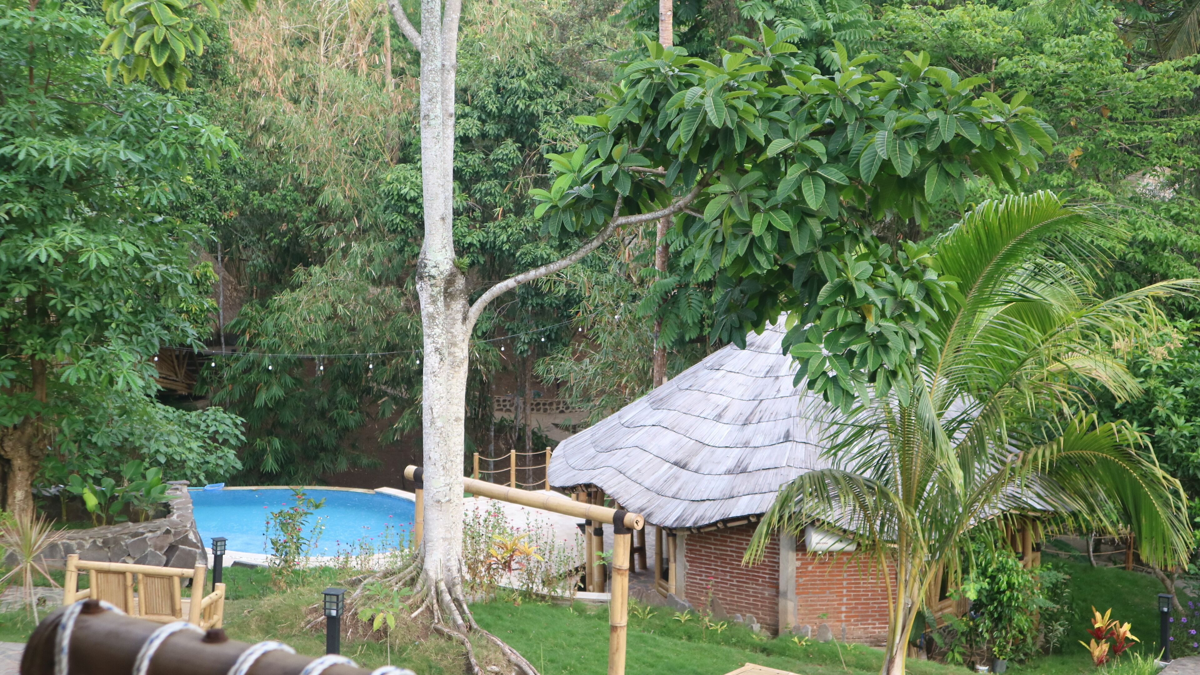 The Osing Bamboo - A Liberta Collection