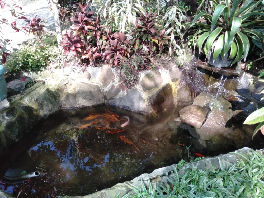 Menggala Cottage Baturaden