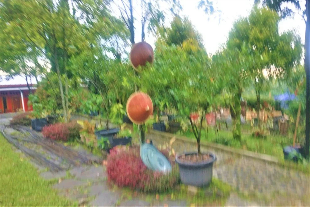 Menggala Cottage Baturaden