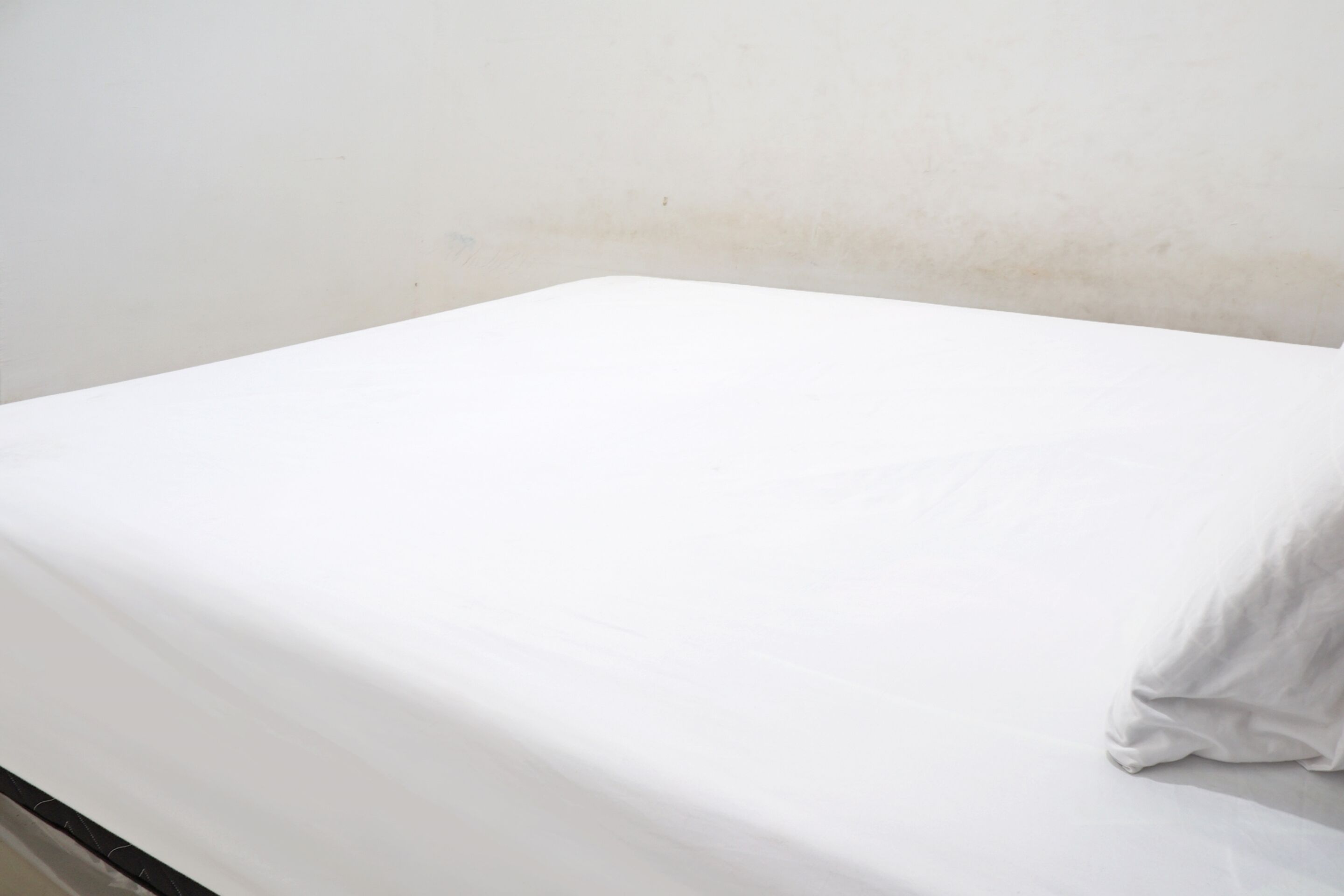 Kost Putih Syariah By OYO