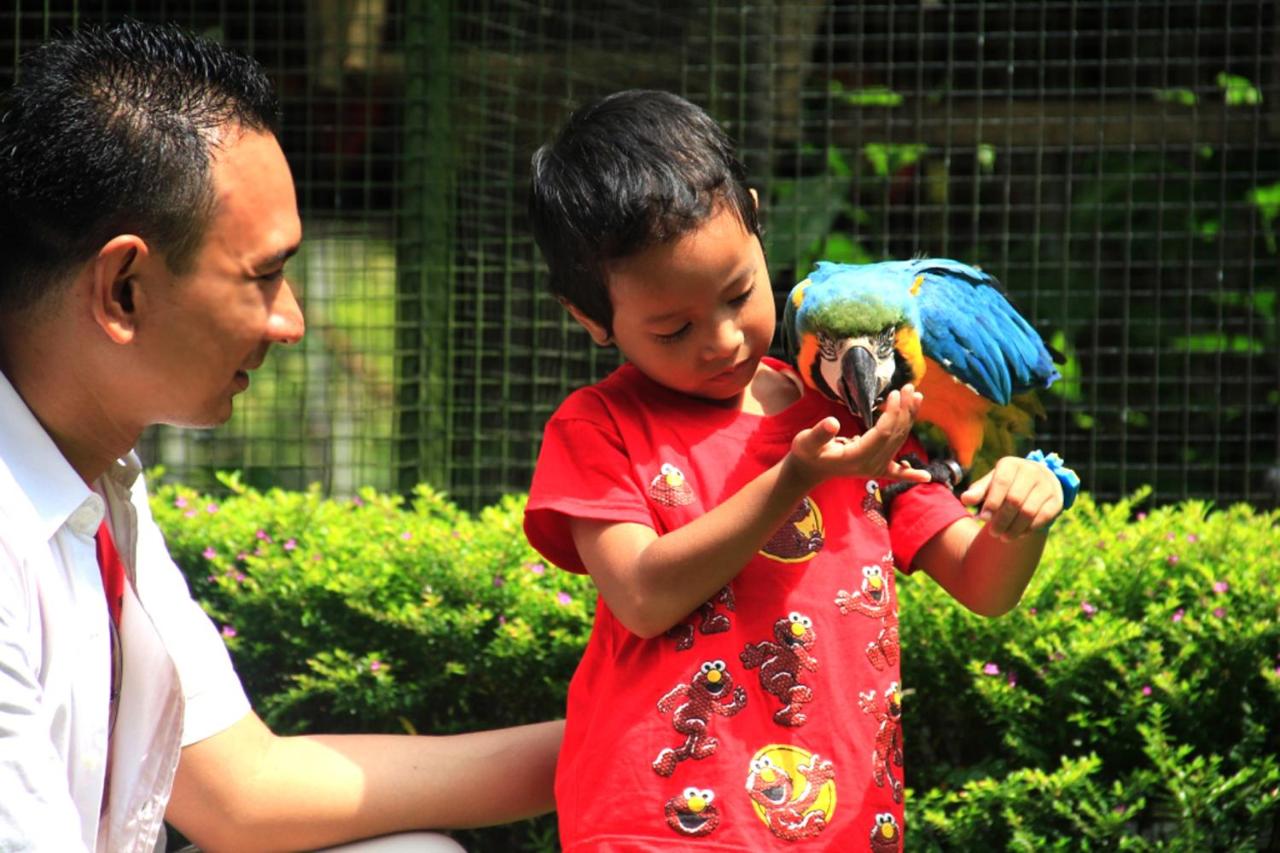 Royal Safari Garden Resort & Conventions