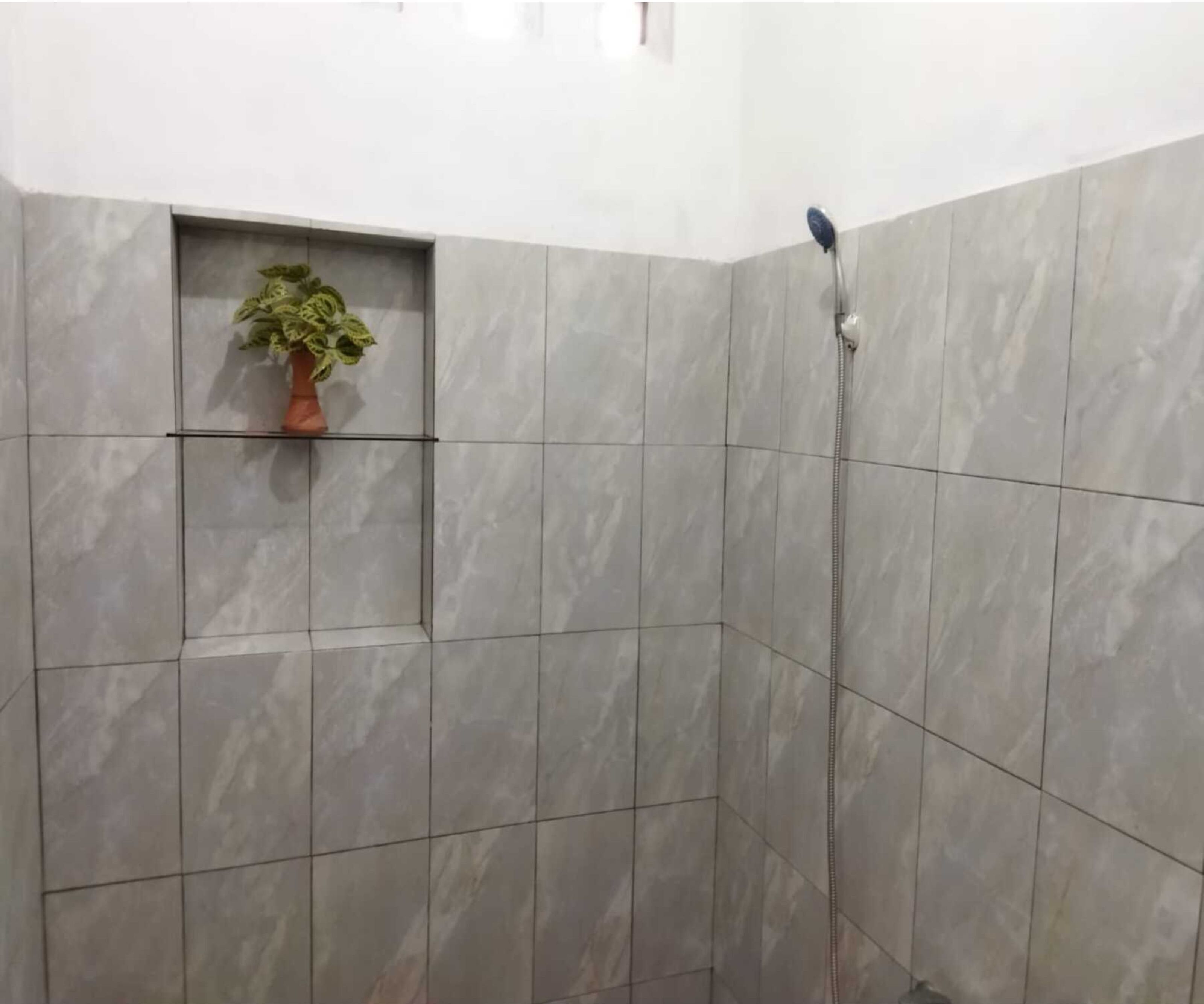 Borobudur Cluster Homestay Candirejo