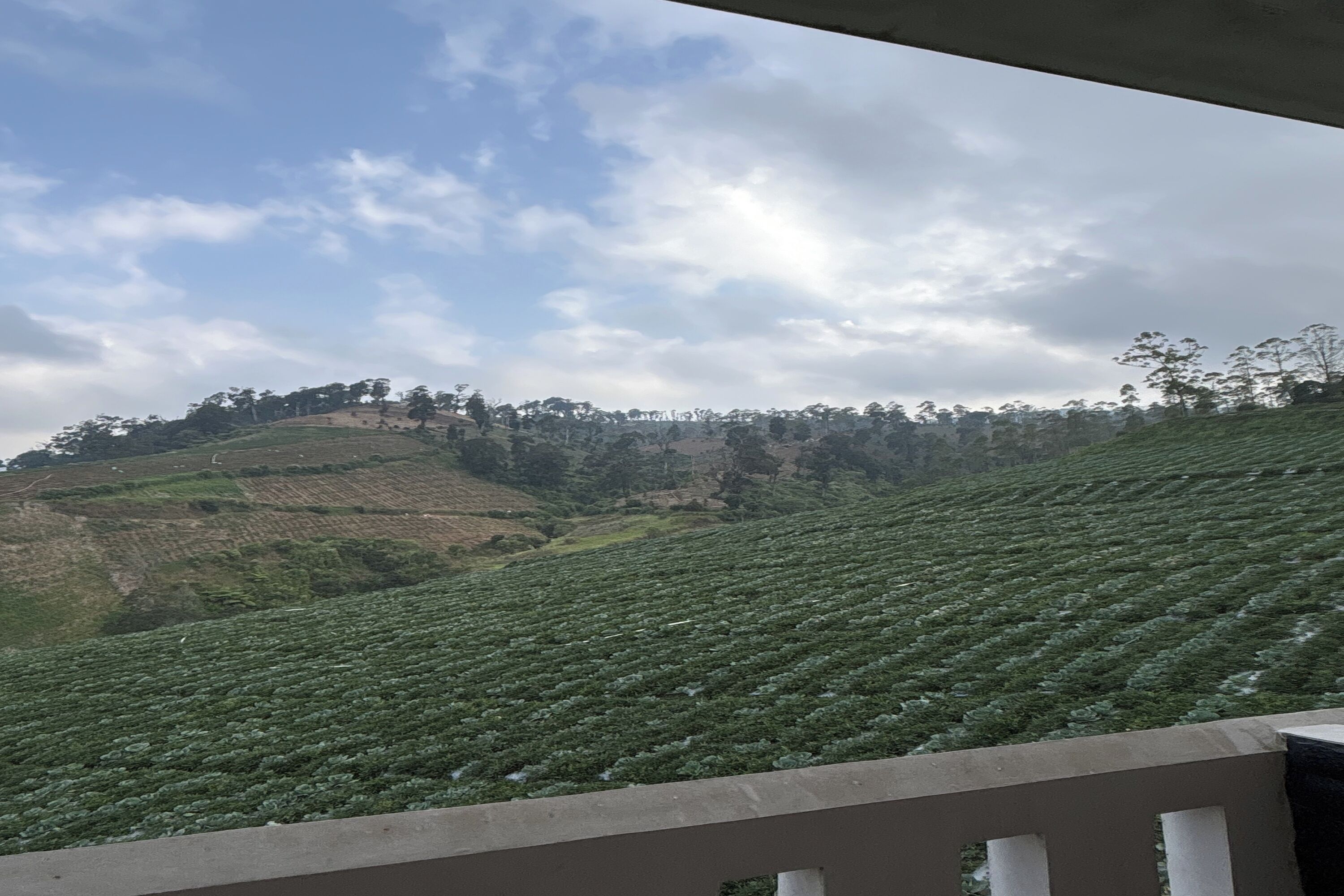 Puncak Darajat Highland