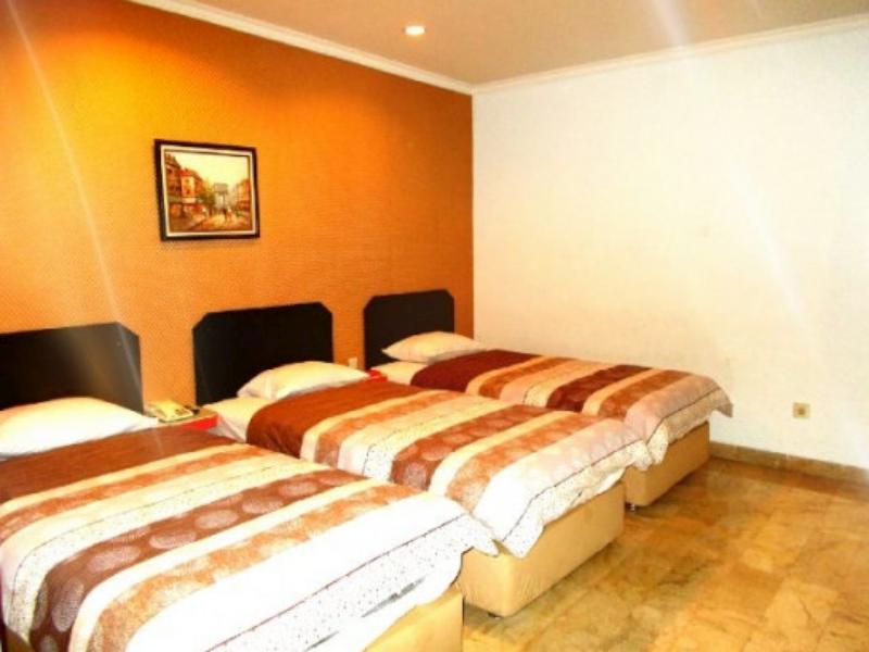 Hotel Alpine