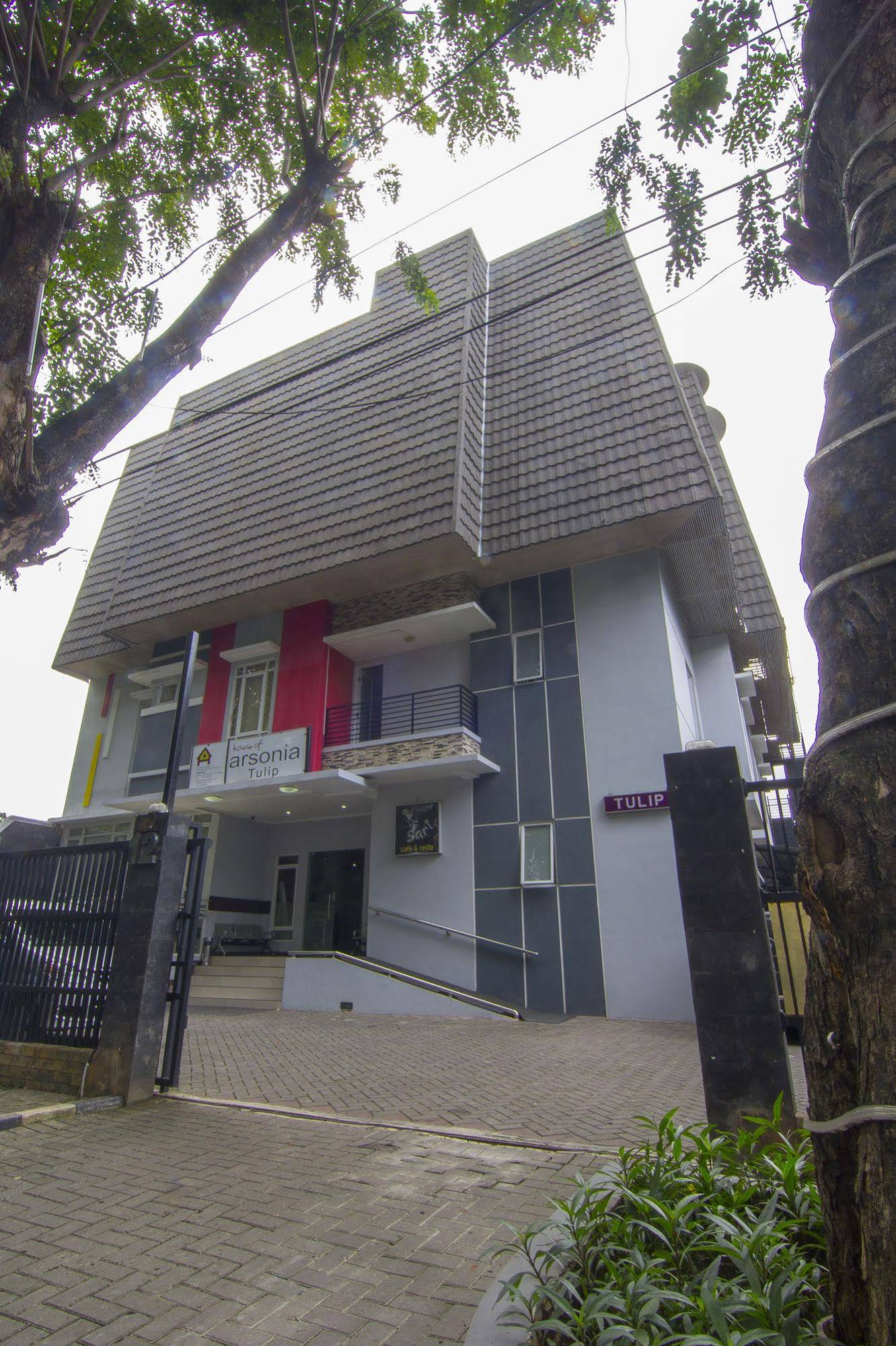House of Arsonia Tulip