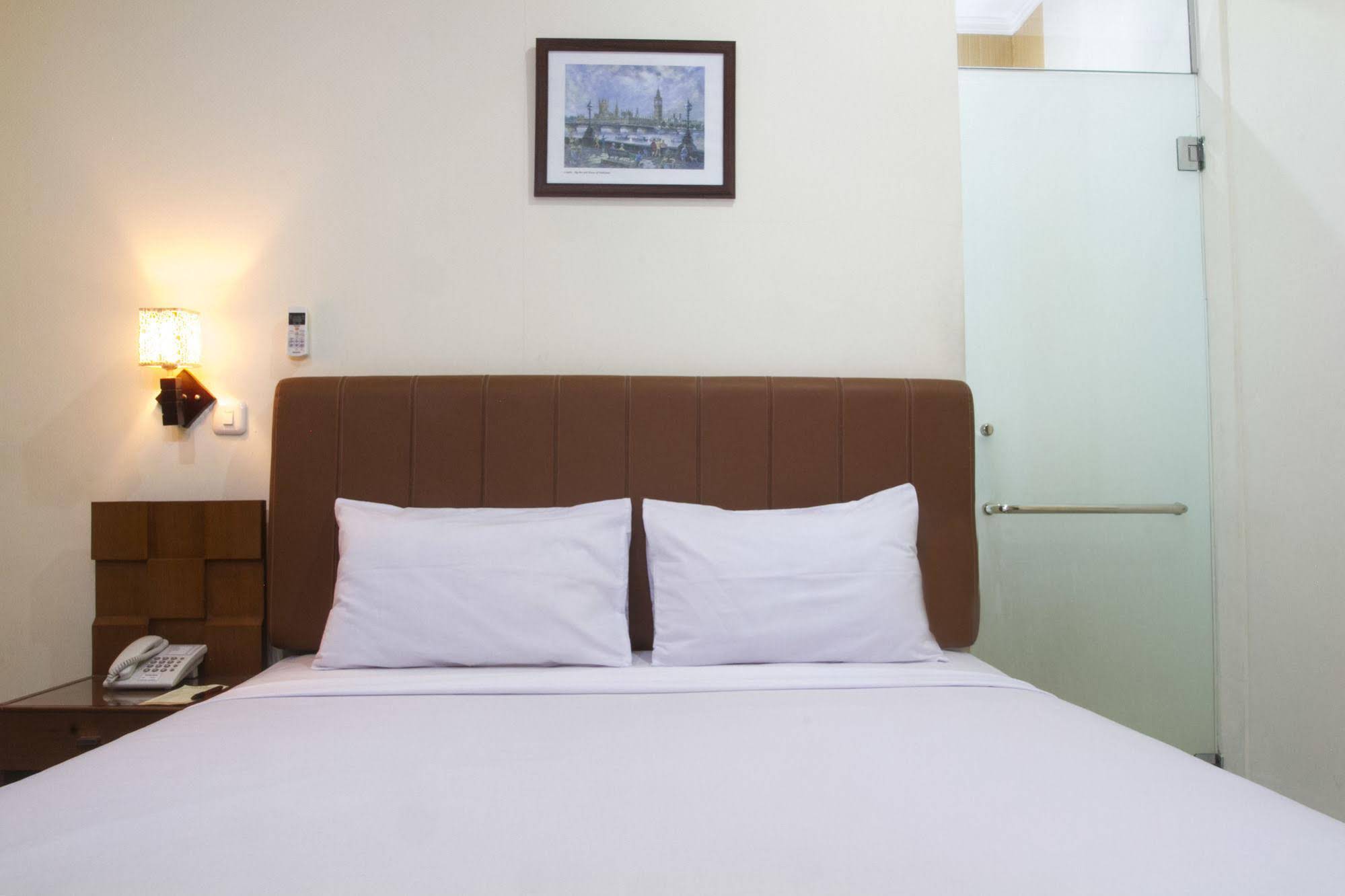 House of Arsonia Tulip