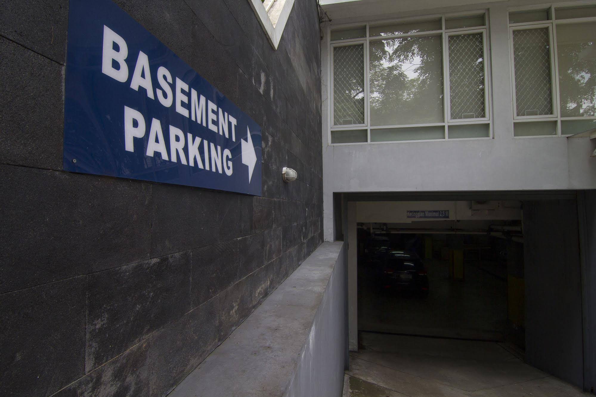 House of Arsonia Tulip