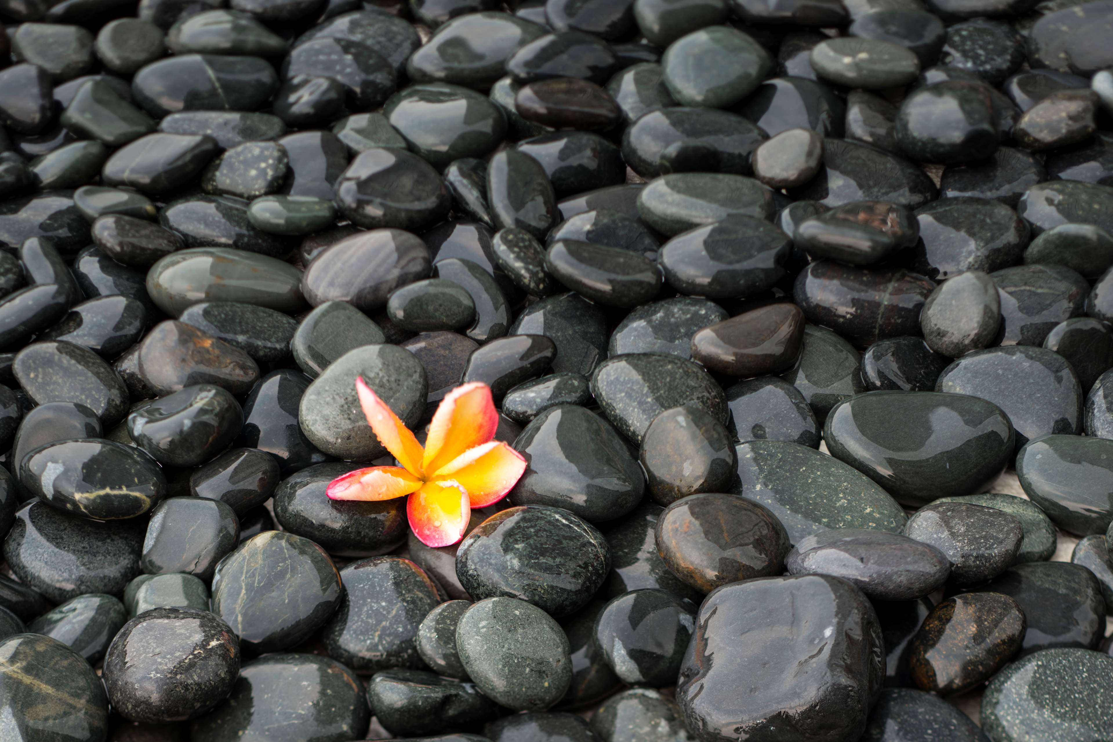 Keraton at The Plaza