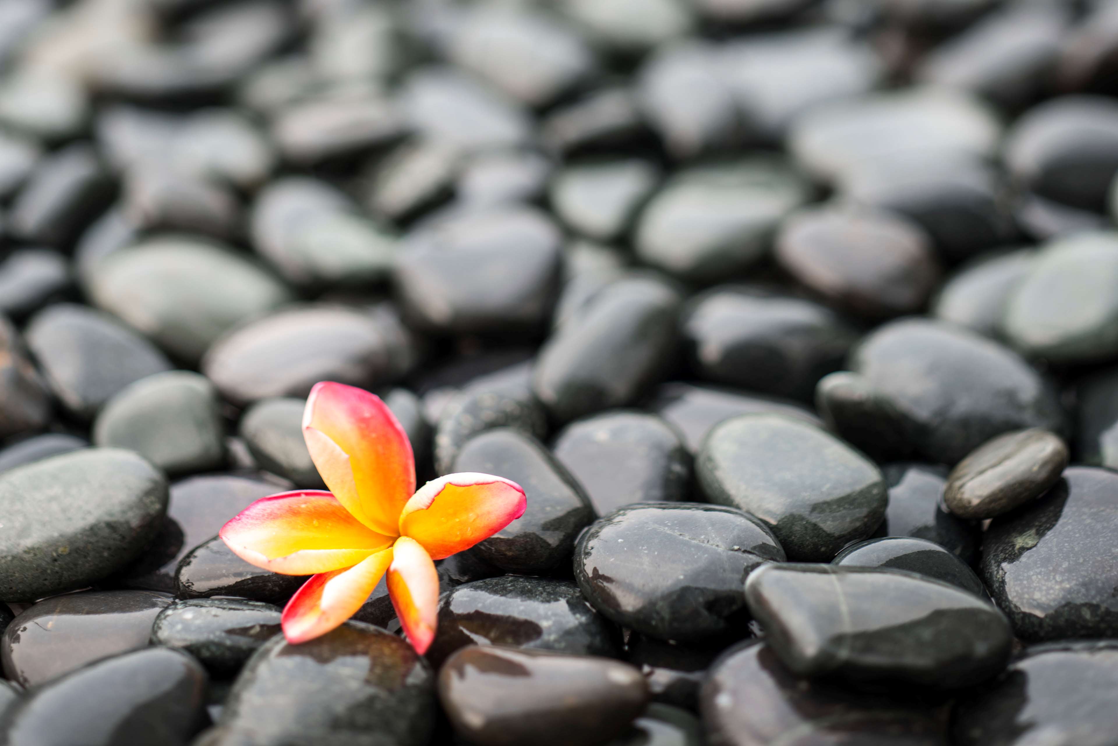 Keraton at The Plaza