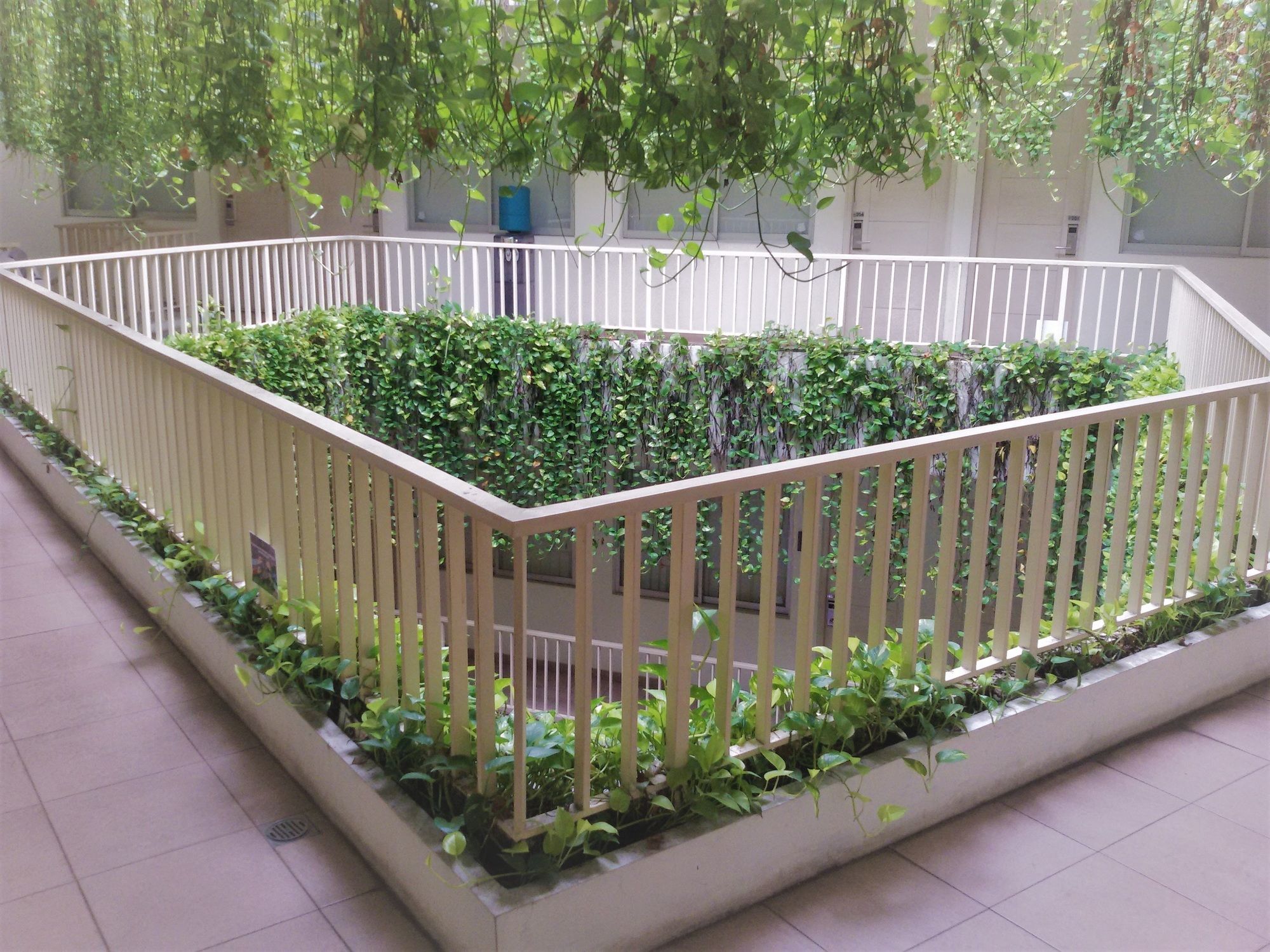 LeGreen Suite Penjernihan