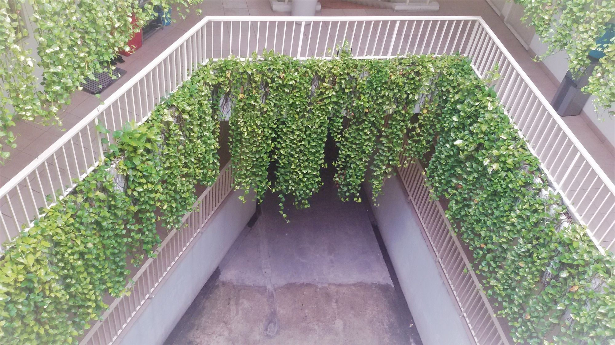 LeGreen Suite Penjernihan