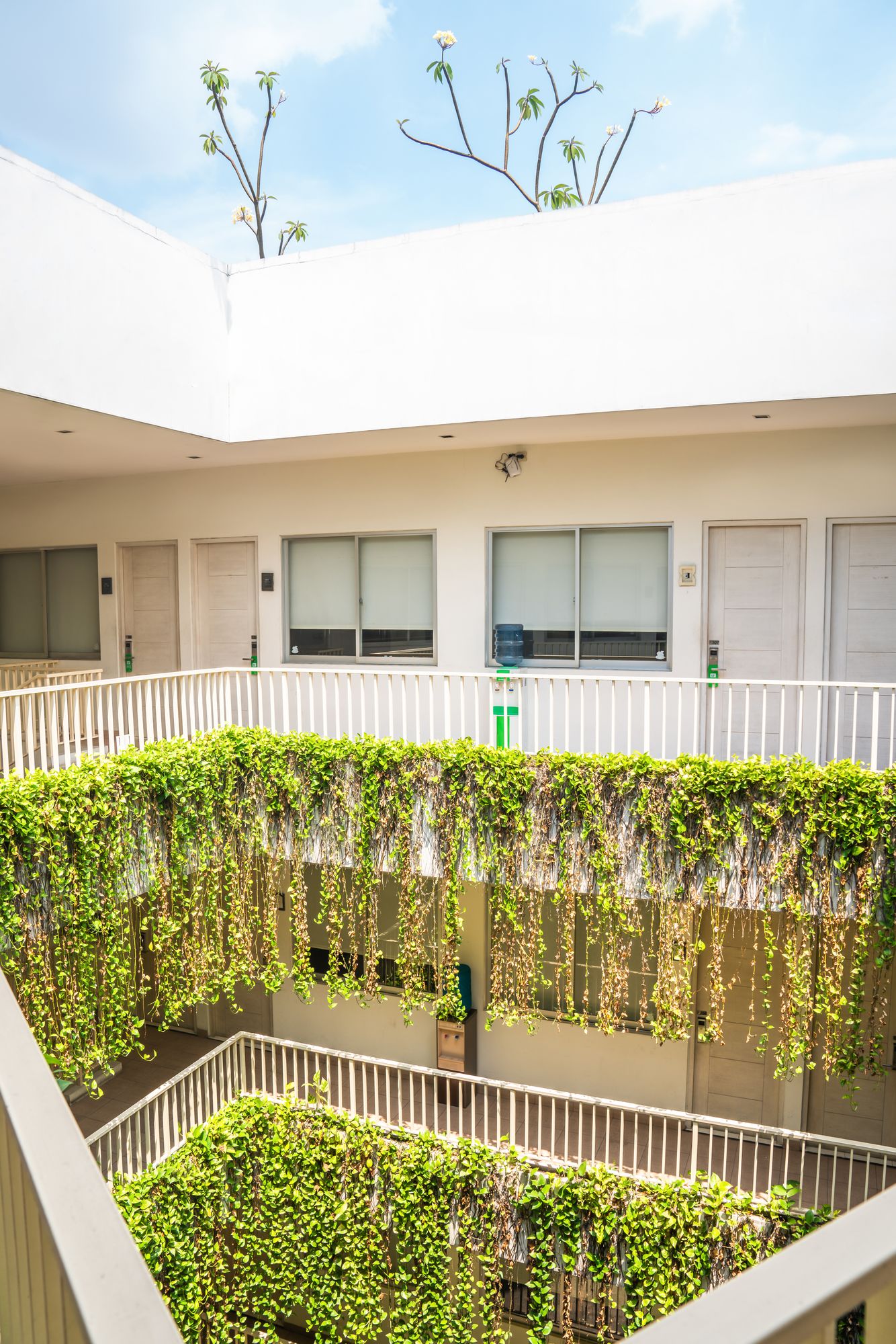 LeGreen Suite Penjernihan