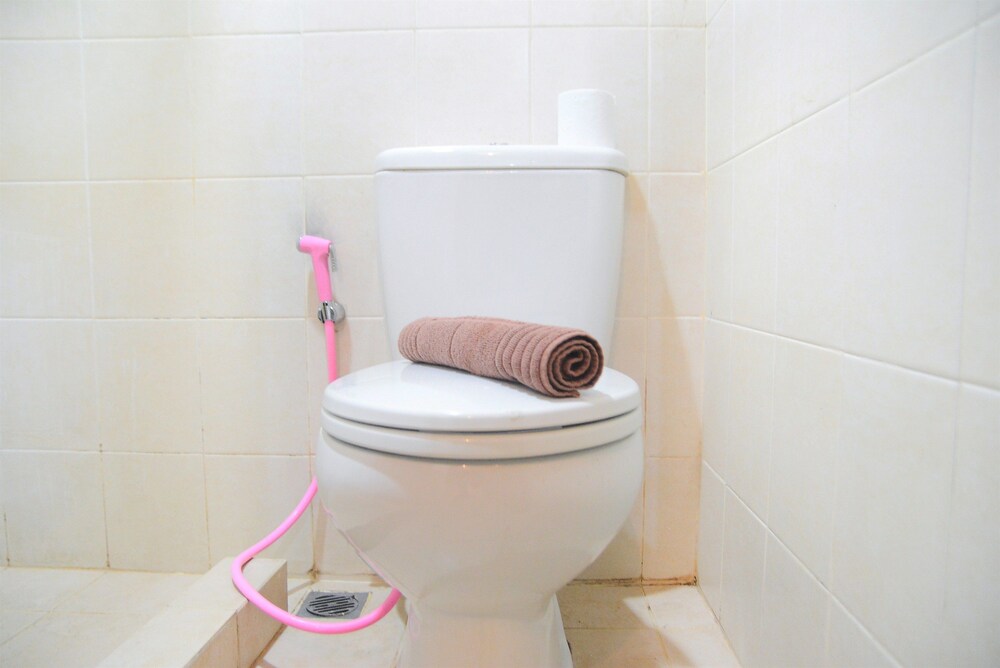 Maple Park Apartment