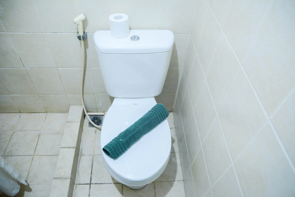 Maple Park Apartment