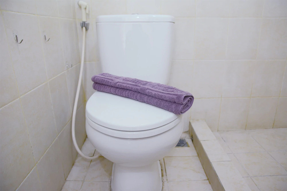 Maple Park Apartment