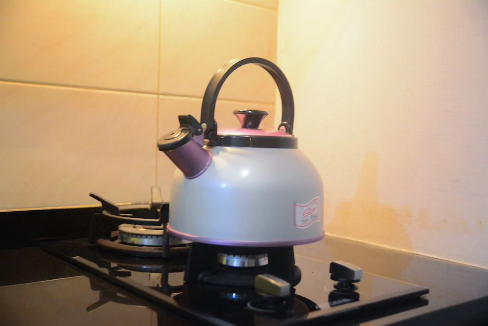 Maple Park Apartment