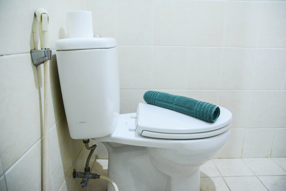 Maple Park Apartment