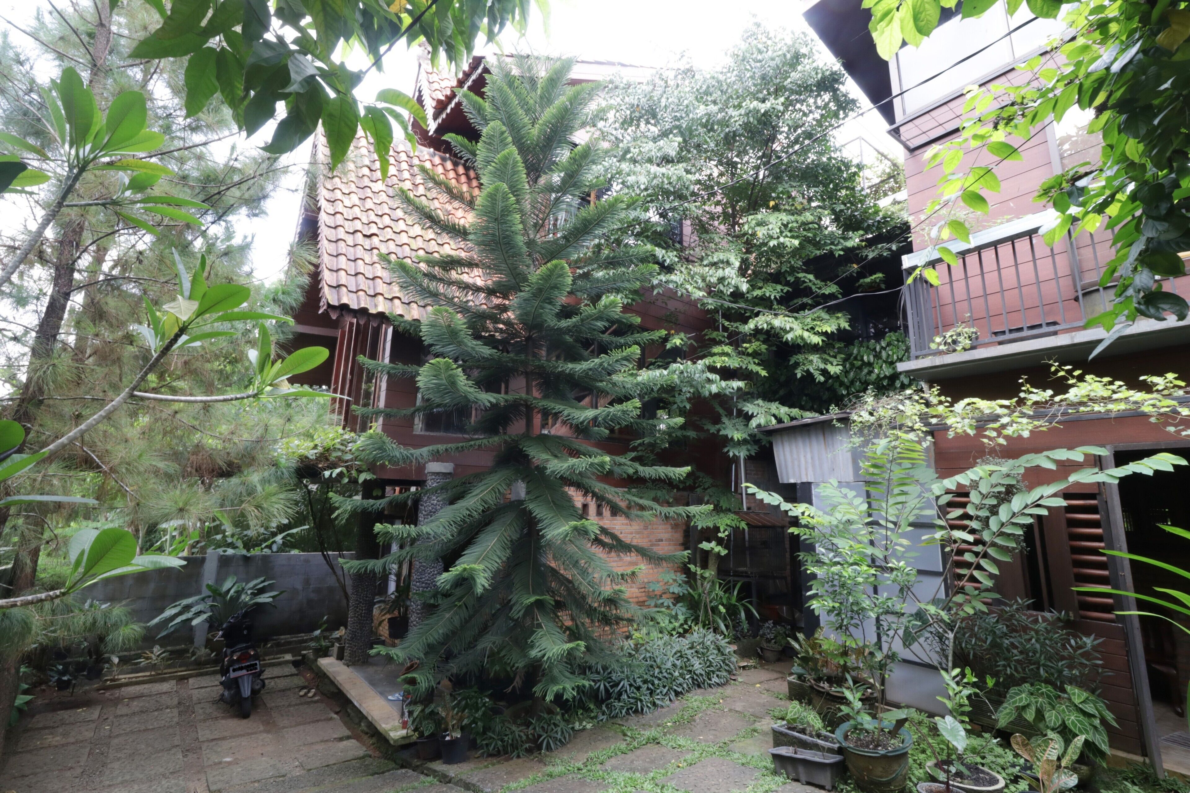 Nila House, Sharia Family Home Stay
