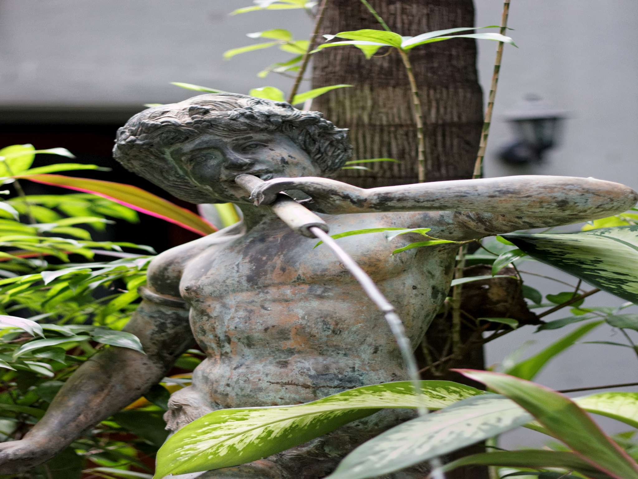 The Paragon Wahid Hasyim