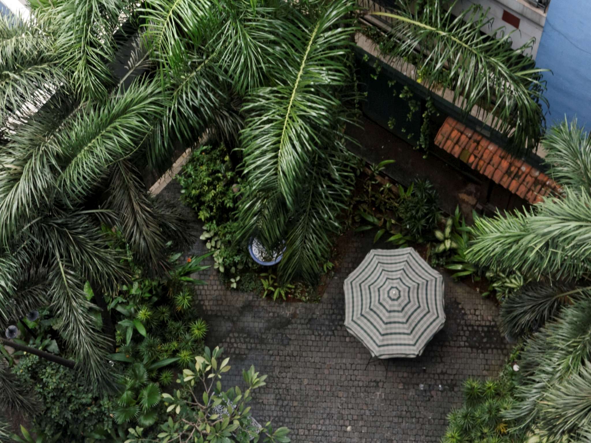 The Paragon Wahid Hasyim