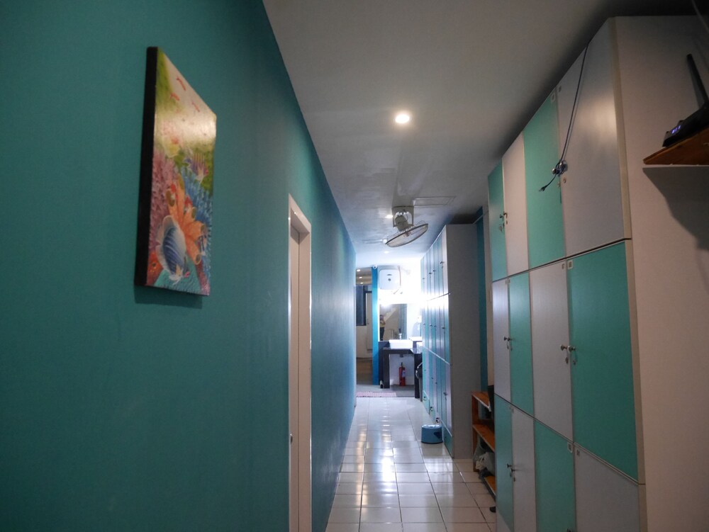 Sleepy Raccoon Hostel