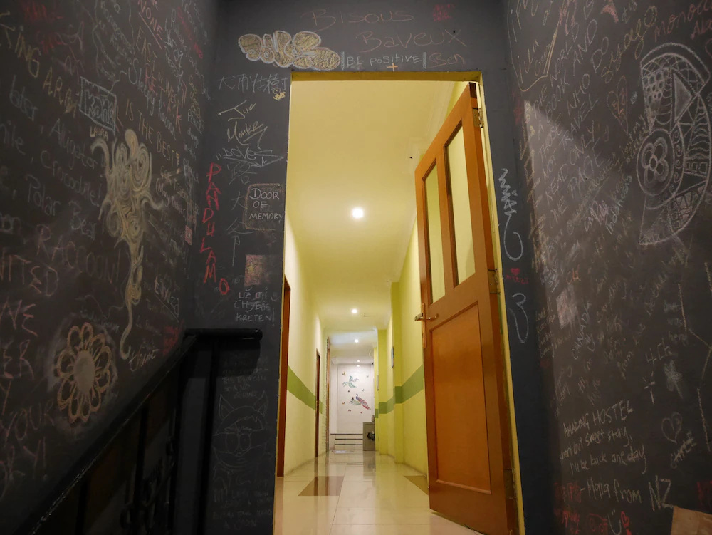 Sleepy Raccoon Hostel