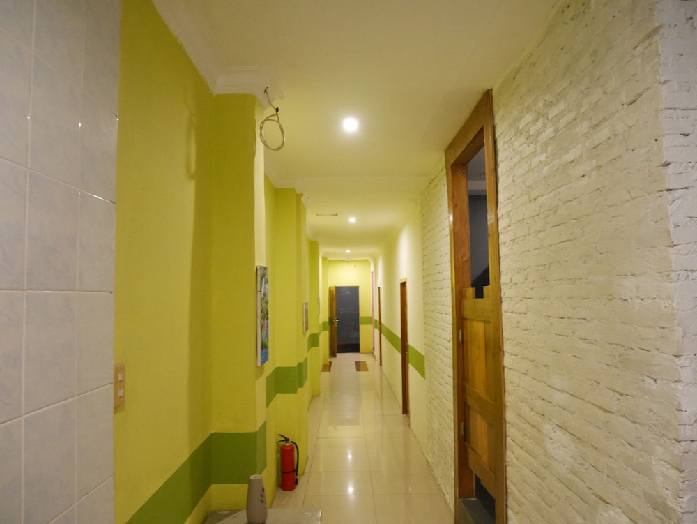 Sleepy Raccoon Hostel