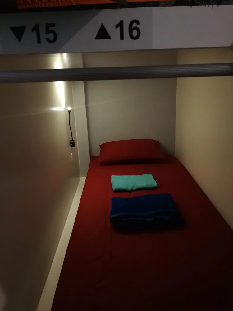 Sleepy Raccoon Hostel