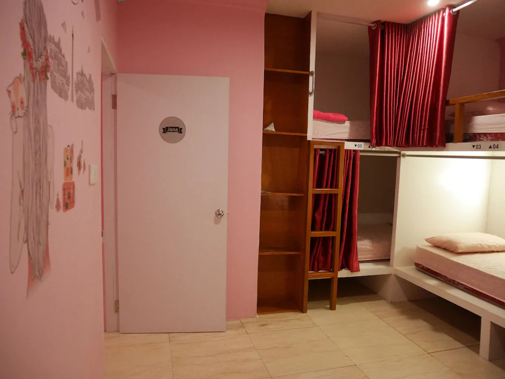 Sleepy Raccoon Hostel